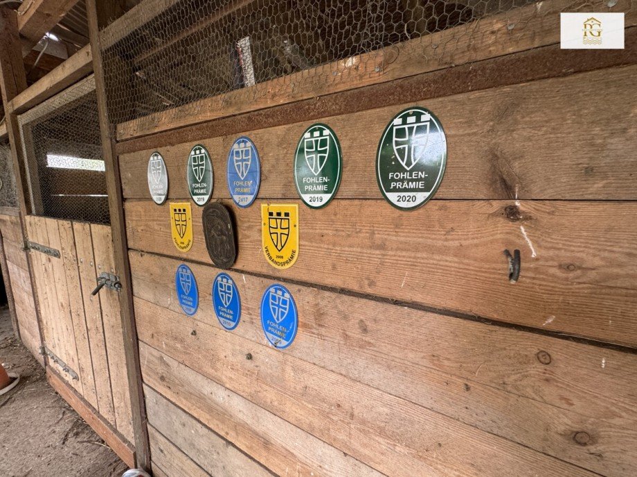Pferdestall Einfamilienhaus Osten, Oste